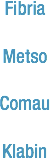 Fibria
Metso Comau Klabin